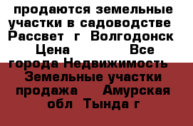 продаются земельные участки в садоводстве “Рассвет“ г. Волгодонск › Цена ­ 80 000 - Все города Недвижимость » Земельные участки продажа   . Амурская обл.,Тында г.